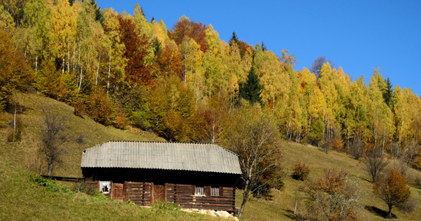 top 10 cabane la munte cu vouchere de vacanta