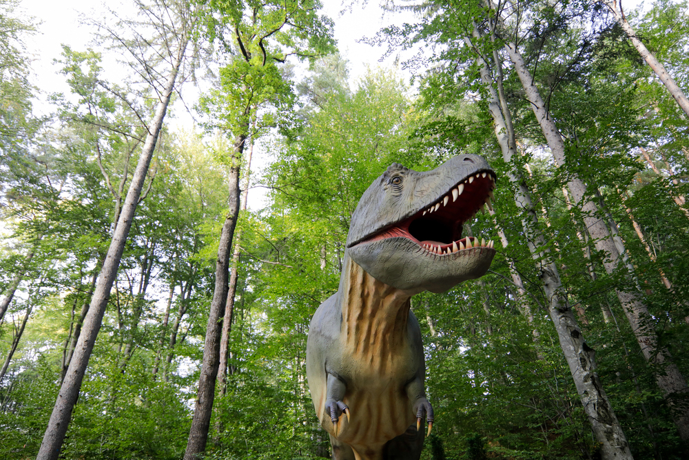 Dino Parc, Râșnov